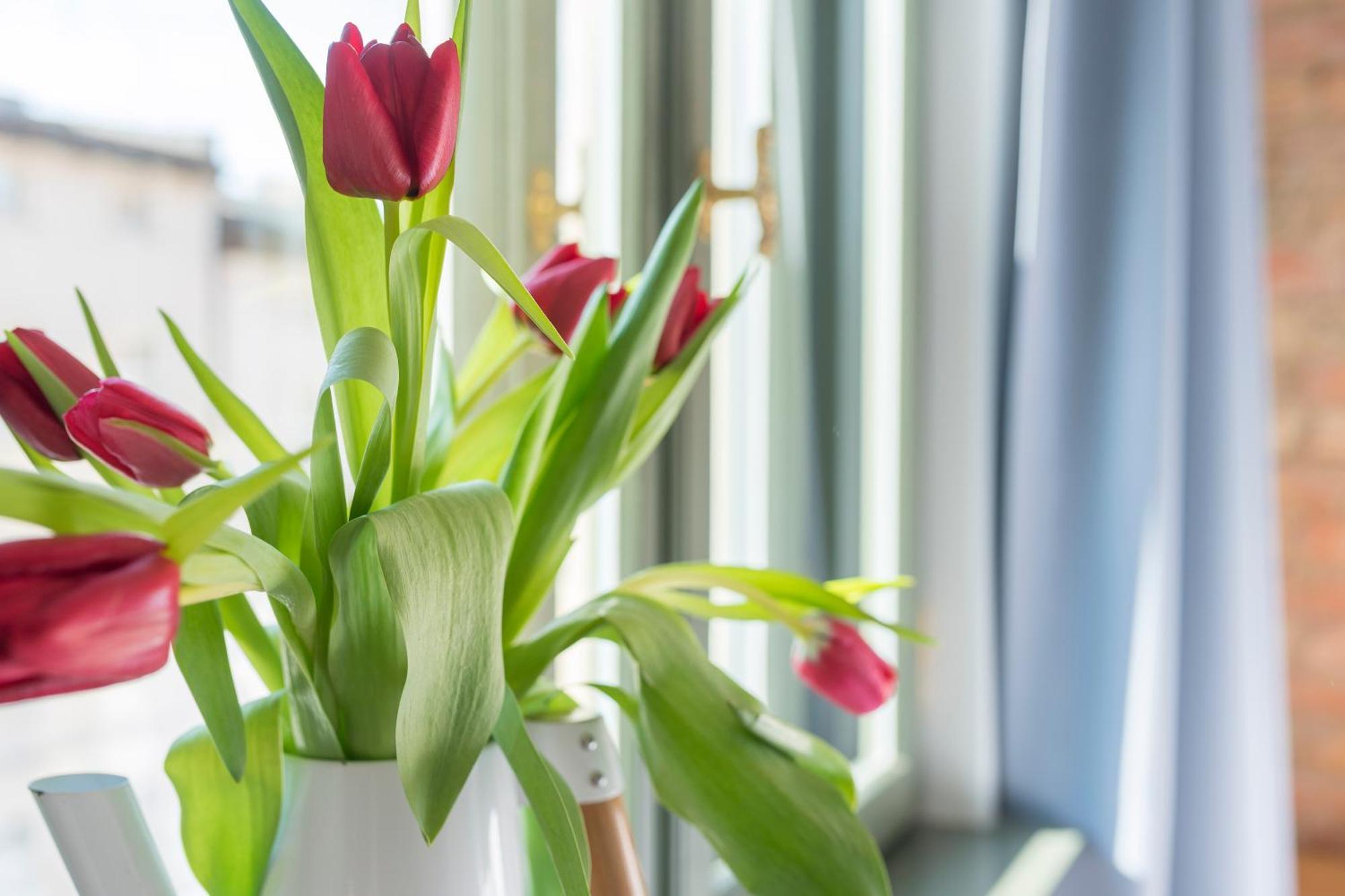 Provenir Home Strzelecka 25 Poznań Kültér fotó